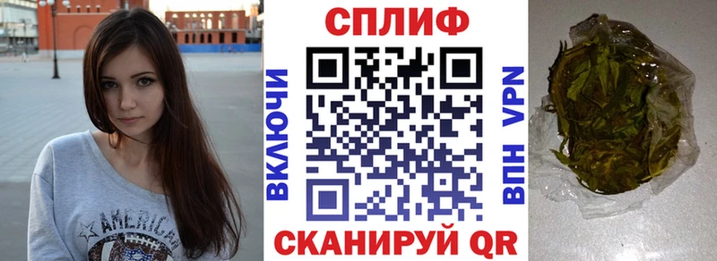 Шишки марихуана планчик  Гай 